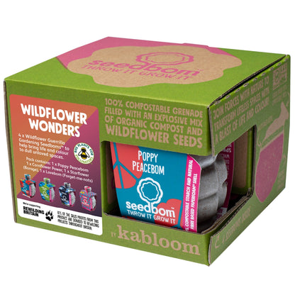  Kabloom Wildflower Wonders 4 Pack Seedbom Gift Set WW0007 The Green Thumb Club