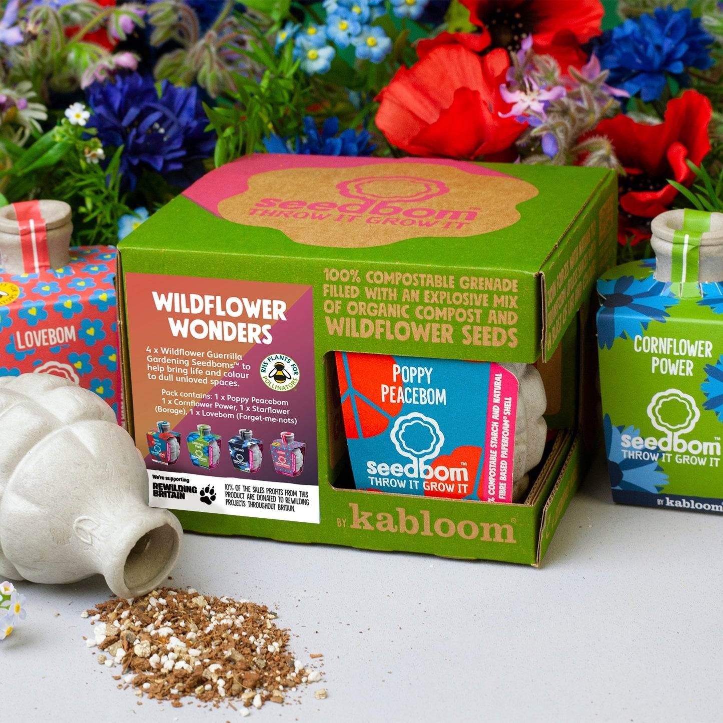  Kabloom Wildflower Wonders 4 Pack Seedbom Gift Set WW0007 The Green Thumb Club