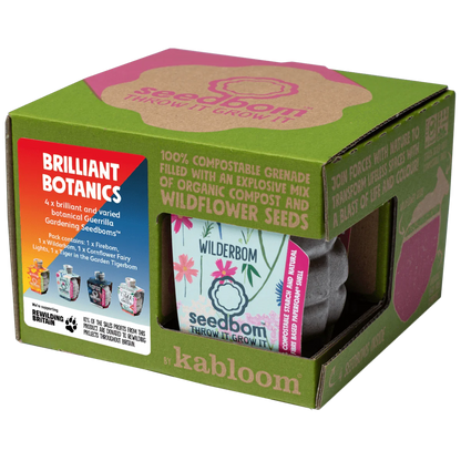  Kabloom Brilliant Botanics Seedbom Gift Box BR0113 The Green Thumb Club