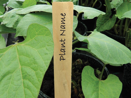 AllotMate Essentials The Pot - on Bundle - AllotMate Essentials - 