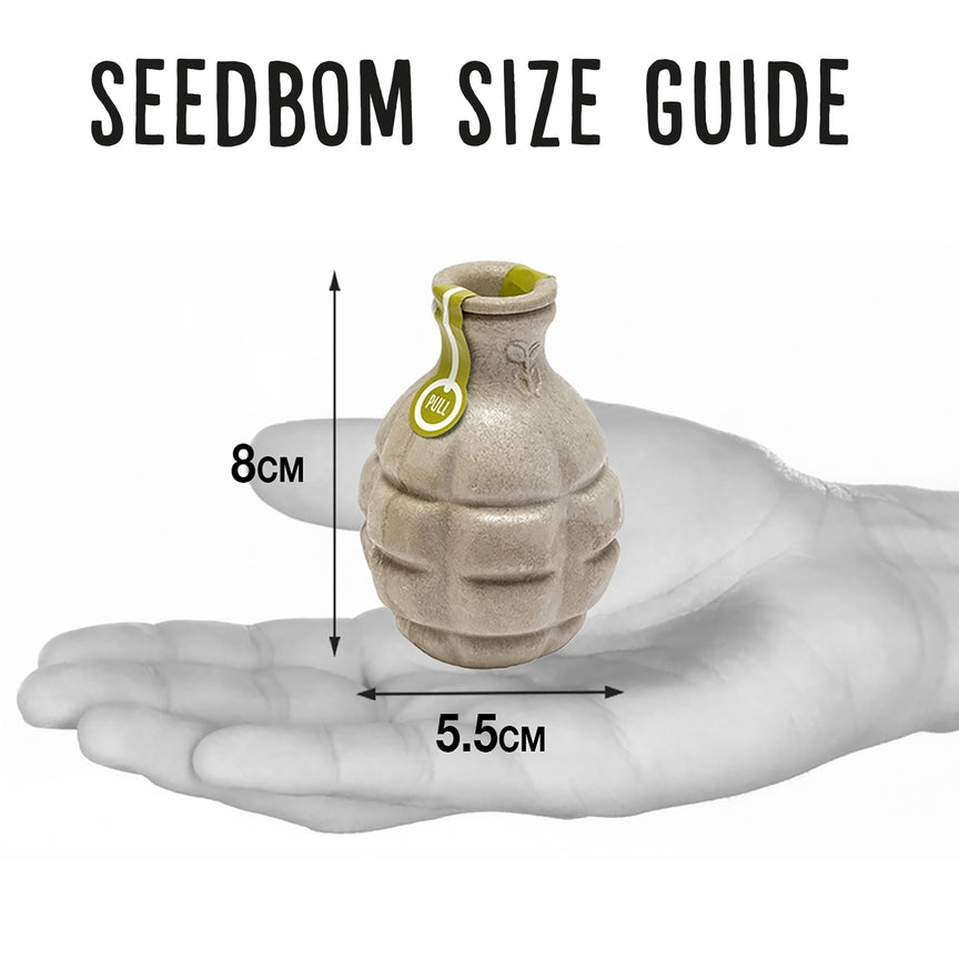  Kabloom Pollinator Beebom Seedbom PB6869 The Green Thumb Club