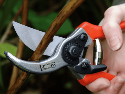 Bypass Secateurs – Precision Pruning for Live Stems | RHS by Burgon & Ball | Bypass Secateurs | GTO/SC 5019360002772 | AllotMate Essentials