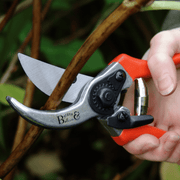 Bypass Secateurs – Precision Pruning for Live Stems | RHS by Burgon & Ball | Bypass Secateurs | GTO/SC 5019360002772 | AllotMate Essentials