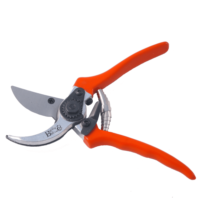 Bypass Secateurs – Precision Pruning for Live Stems | RHS by Burgon & Ball | Bypass Secateurs | GTO/SC 5019360002772 | AllotMate Essentials
