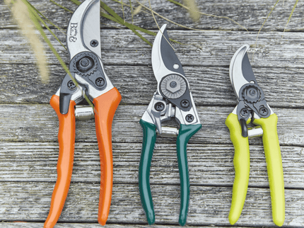 Bypass Secateurs – Precision Pruning for Live Stems | RHS by Burgon & Ball | Bypass Secateurs | GTO/SC 5019360002772 | AllotMate Essentials