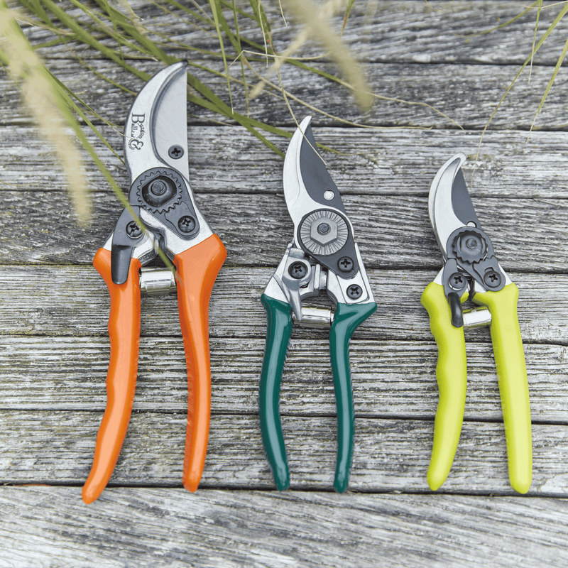 Bypass Secateurs – Precision Pruning for Live Stems | RHS by Burgon & Ball | Bypass Secateurs | GTO/SC 5019360002772 | AllotMate Essentials