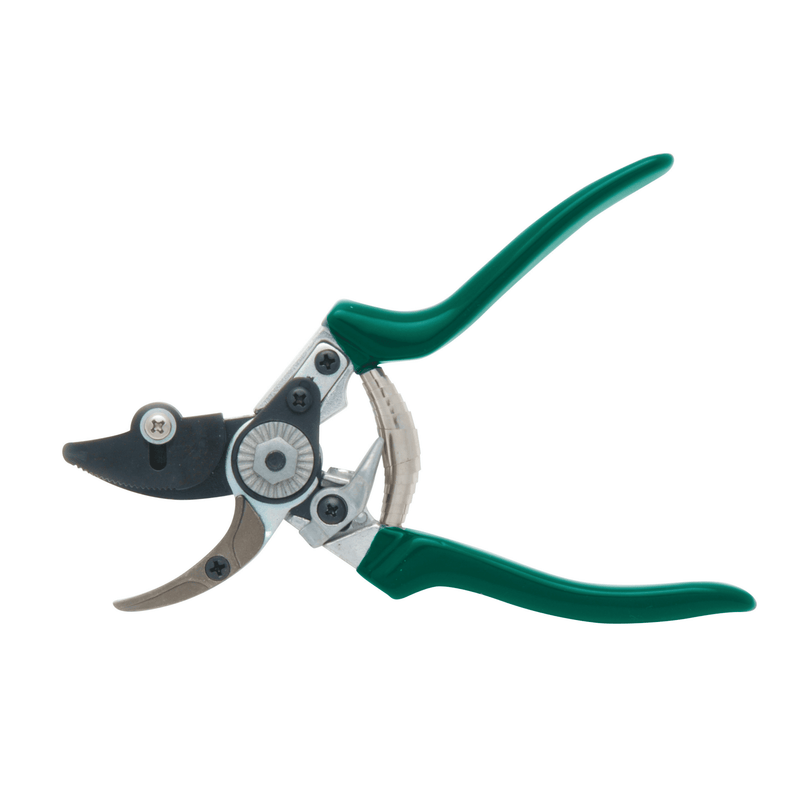 Rose Pruner – Ideal for Thorny Stems & Roses | RHS by Burgon & Ball | Rose Pruner | GTO/CHP 5019360003199 | AllotMate Essentials