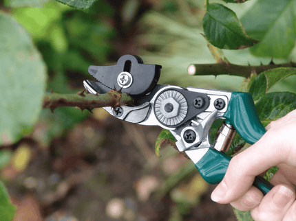 Rose Pruner – Ideal for Thorny Stems & Roses | RHS by Burgon & Ball | Rose Pruner | GTO/CHP 5019360003199 | AllotMate Essentials