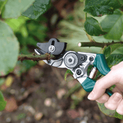 Rose Pruner – Ideal for Thorny Stems & Roses | RHS by Burgon & Ball | Rose Pruner | GTO/CHP 5019360003199 | AllotMate Essentials