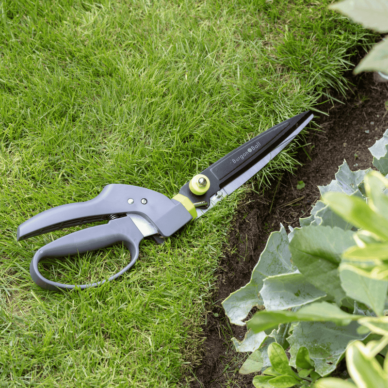 Single Handed Grass Shear – Precision Lawn Edging Tool | RHS by Burgon & Ball | Shear | GTO/SHGSHEAR 5019360014812 | AllotMate Essentials