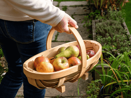 Traditional Wooden Trug – Medium Harvest Basket | FSC Wood by Burgon & Ball | Trug | GHV/TRM 5019360006985 | AllotMate Essentials