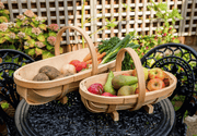 Traditional Wooden Trug – Medium Harvest Basket | FSC Wood by Burgon & Ball | Trug | GHV/TRM 5019360006985 | AllotMate Essentials