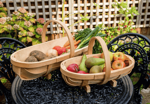 Traditional Wooden Trug – Medium Harvest Basket | FSC Wood by Burgon & Ball | Trug | GHV/TRM 5019360006985 | AllotMate Essentials