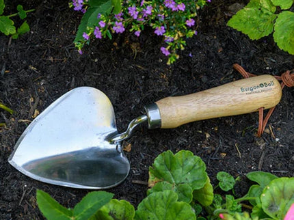 Planting Trowel – Stainless Steel & FSC Handle | Burgon & Ball | Planting Trowel | GTH/SPTRHS 5019360203308 | AllotMate Essentials