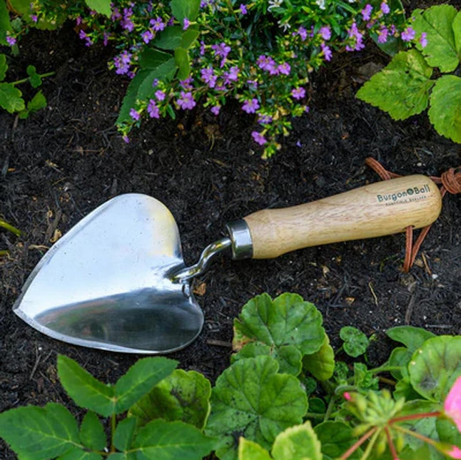 Burgon and Ball Stainless Steel Planting Trowel - RHS Endorsed - Planting Trowel - AllotMate Essentials - GTH/SPTRHS - 5019360203308