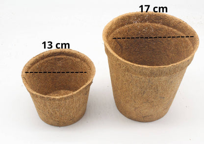  CoirProducts 17 cm Coir Pots | Plant Pots | 100% Biodegradable | 2.8 Ltr CP17 The Green Thumb Club