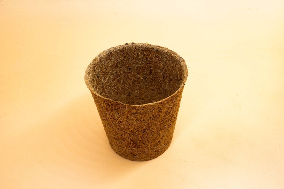 CoirProducts 10 Cm Coir Pots | Biodegradable Plant Pot | 600mL Volume - Pots - AllotMate Essentials - CP10 - 5060861940155