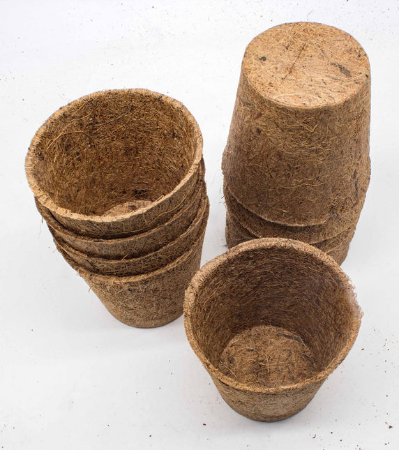 CoirProducts 10 Cm Coir Pots | Biodegradable Plant Pot | 600mL Volume - Pots - AllotMate Essentials - CP10 - 5060861940155
