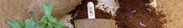 10cm Coir Plant Pots – Biodegradable Starter Pots | Peat - Free | CoirProducts | Pots | CP10 5060861940155 | AllotMate Essentials