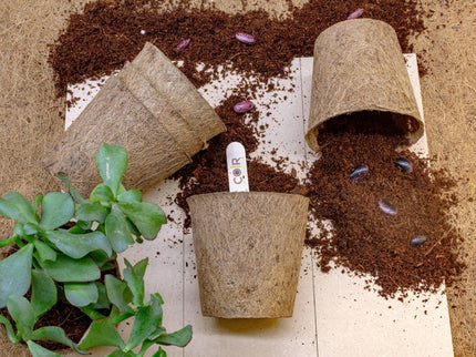 10cm Coir Plant Pots – Biodegradable Starter Pots | Peat - Free | CoirProducts | Pots | CP10 5060861940155 | AllotMate Essentials