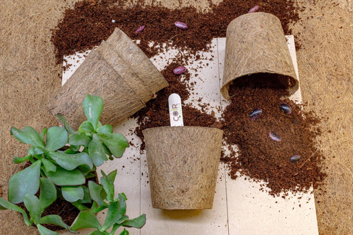 10cm Coir Plant Pots – Biodegradable Starter Pots | Peat - Free | CoirProducts | Pots | CP10 5060861940155 | AllotMate Essentials