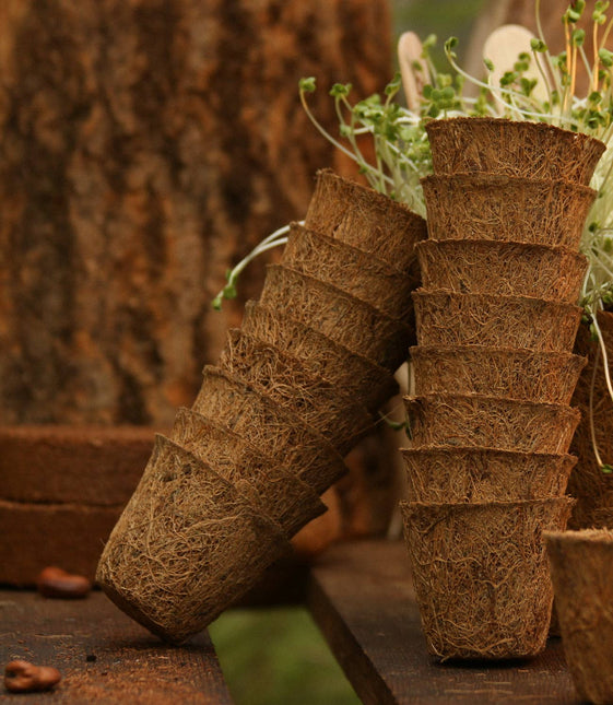 CoirProducts 13 cm Coir Pots | Plant Pots | 100% Biodegradable | 1 Ltr - Pots - AllotMate Essentials - CP13 - 5060861940162