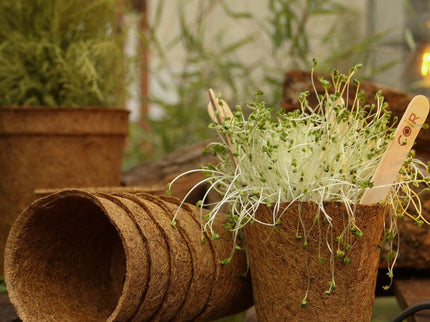 17cm Coir Plant Pots – 100% Biodegradable & Peat - Free | Ideal for Growing On | CoirProducts | Pots | CP17 5060861940650 | AllotMate Essentials
