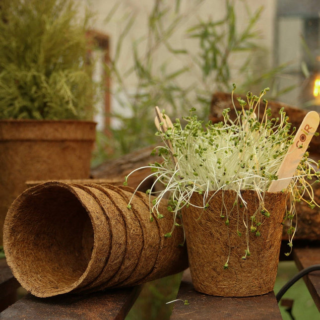 CoirProducts 17 cm Coir Pots | Plant Pots | 100% Biodegradable | 2.8 Ltr - Pots - AllotMate Essentials - CP17 - 5060861940650