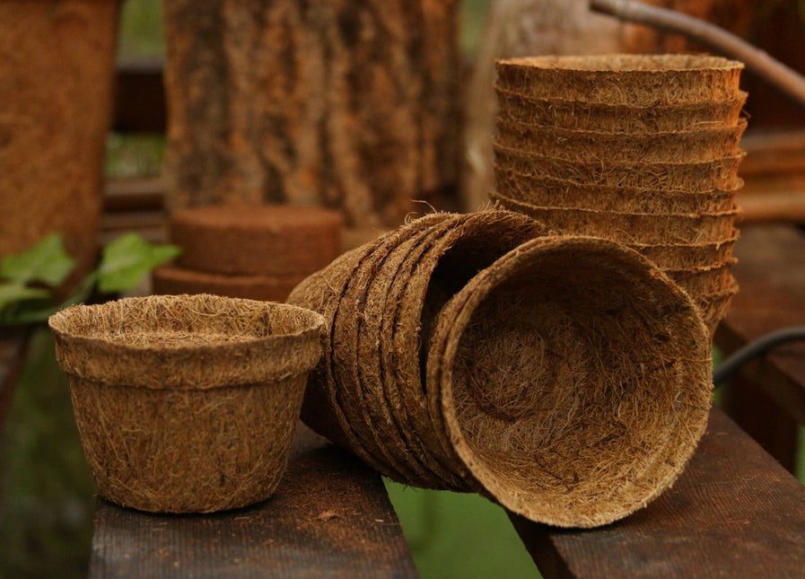 CoirProducts 8 cm Coir Pot | 100% Natural Plant Pot | - Pots - AllotMate Essentials - CP08 - 23640594