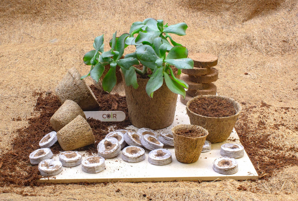 CoirProducts 8 cm Coir Pot | 100% Natural Plant Pot | - Pots - AllotMate Essentials - CP08 - 23640594