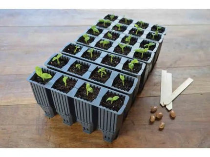 28 Cell Deep Root Success Kit – Propagation Tray for Long Rooted Plants | Garland | Unheated Propagation | G227 5031670004215 | AllotMate Essentials