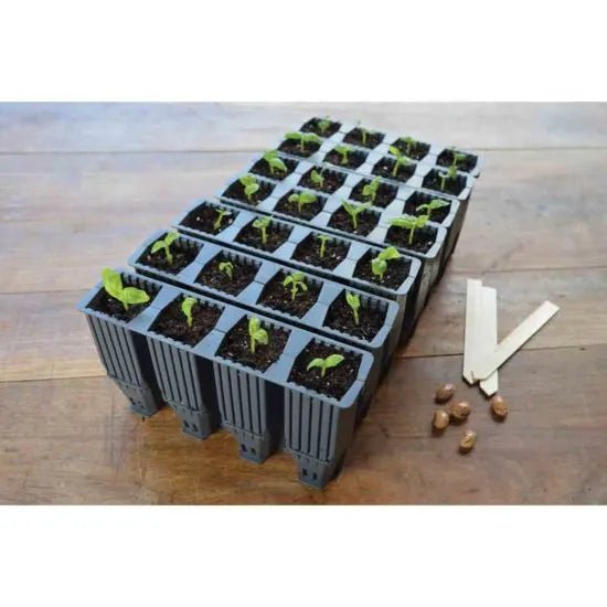 Garland 28 Cell Deep Root Success Kit - Unheated Propagation - AllotMate Essentials - G227 - 5031670004215