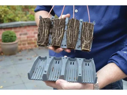28 Cell Deep Root Success Kit – Propagation Tray for Long Rooted Plants | Garland | Unheated Propagation | G227 5031670004215 | AllotMate Essentials