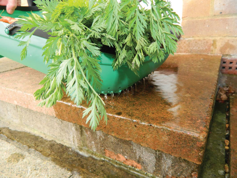 Colander Trug – Rinse & Carry Harvested Produce | Garland | Hand Tools | G184 5031670003508 | AllotMate Essentials