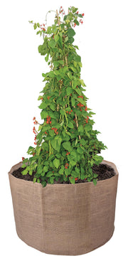 Garland Bean & Pea Bag with a free Bean & Pea Ring | Bean & Pea Planter | W0493 5031670504937 | AllotMate Essentials