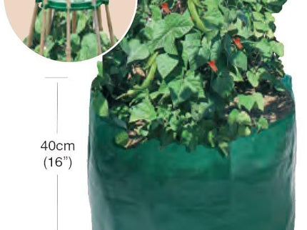 Garland Bean & Pea Bag with a free Bean & Pea Ring | Bean & Pea Planter | W0494 5031670504944 | AllotMate Essentials