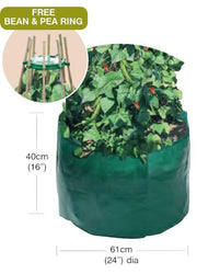 Garland Bean & Pea Bag with a free Bean & Pea Ring | Bean & Pea Planter | W0494 5031670504944 | AllotMate Essentials