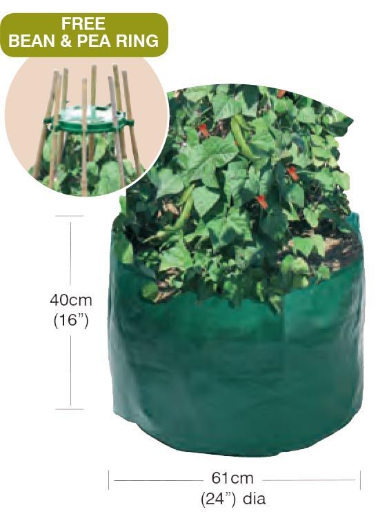 Garland Bean & Pea Bag with a free Bean & Pea Ring | Bean & Pea Planter | W0494 5031670504944 | AllotMate Essentials