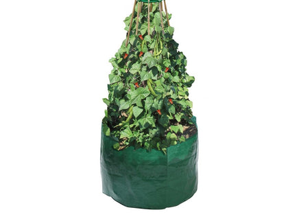 Garland Bean & Pea Bag with a free Bean & Pea Ring | Bean & Pea Planter | W0494 5031670504944 | AllotMate Essentials