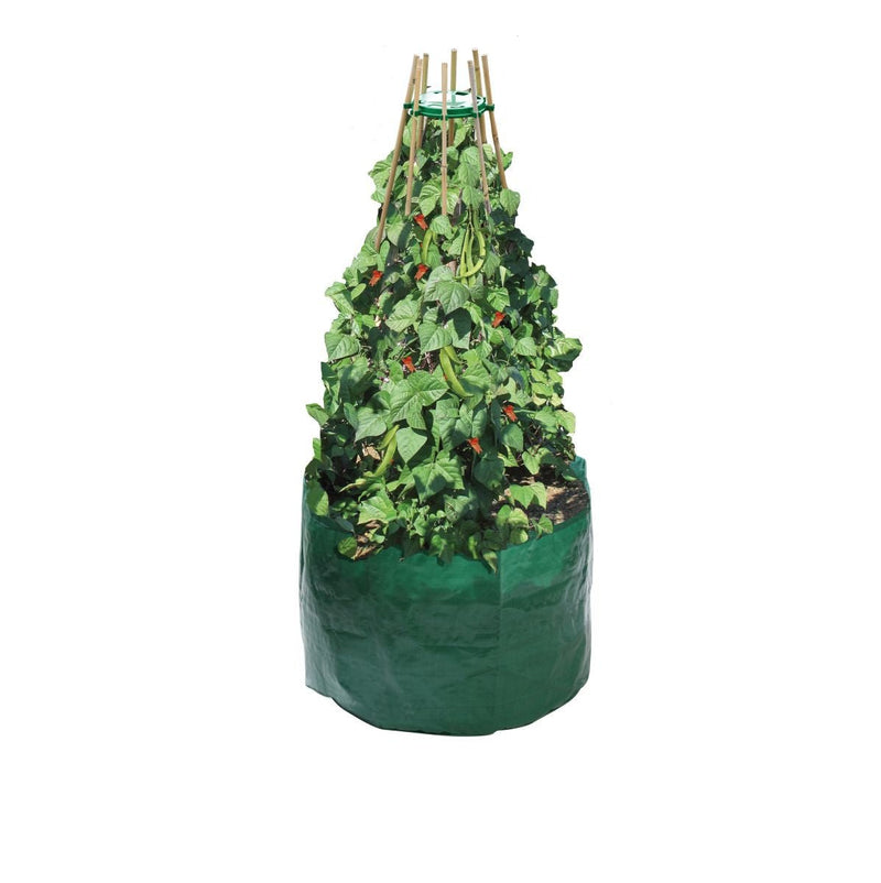 Garland Bean & Pea Bag with a free Bean & Pea Ring | Bean & Pea Planter | W0494 5031670504944 | AllotMate Essentials
