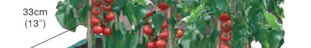 Grow Bag – Durable Planter Bag for Tomatoes & Veg | Garland | Grow Bag | W0498 5031670504982 | AllotMate Essentials