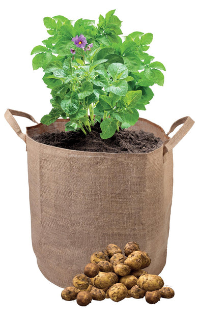 Potato Grow Bag – Reusable Sack for Patio Crops | Garland | Potato Planter | W0489 5031670504890 | AllotMate Essentials