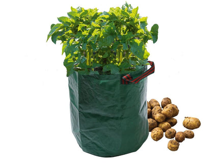 Potato Grow Bag – Reusable Sack for Patio Crops | Garland | Potato Planter | W0490 5031670504906 | AllotMate Essentials