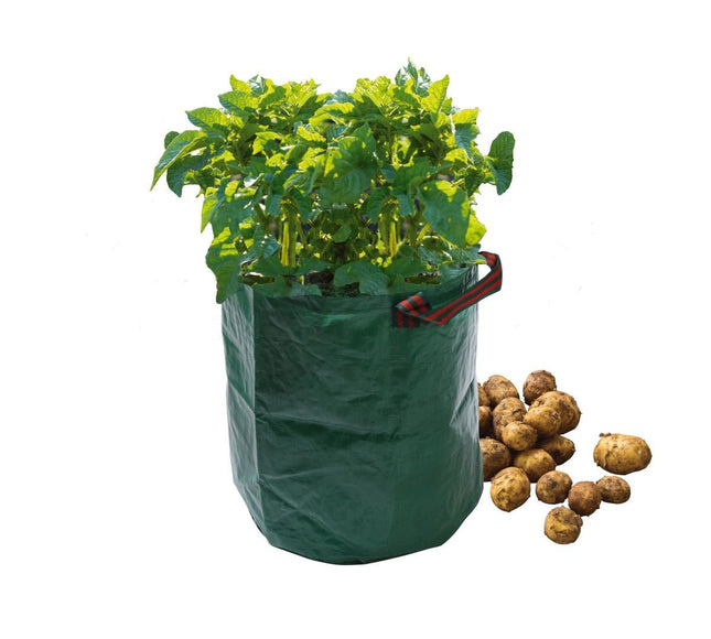 Potato Grow Bag – Reusable Sack for Patio Crops | Garland | Potato Planter | W0490 5031670504906 | AllotMate Essentials