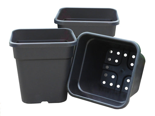 Square Tom Pots – Durable Plastic Pots for Tomatoes & Veg | Garland | Pots | G254B 5031670004222 | AllotMate Essentials