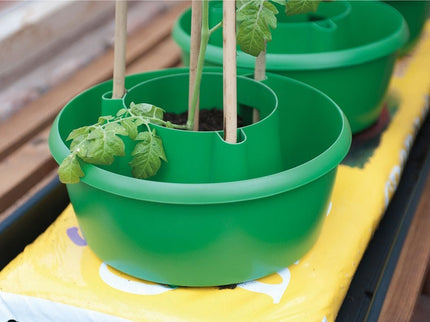 Plant Halos – Set of 3 – Watering & Feeding Support Rings | Garland | Plant Support | G167G 5031670003133 | AllotMate Essentials