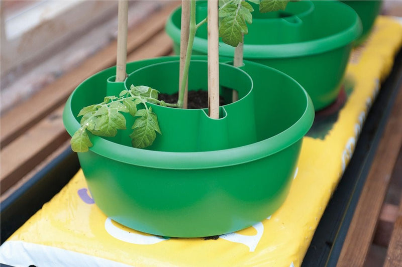 Plant Halos – Set of 3 – Watering & Feeding Support Rings | Garland | Plant Support | G167G 5031670003133 | AllotMate Essentials