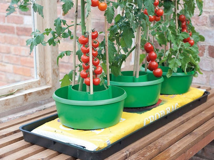 Plant Halos – Set of 3 – Watering & Feeding Support Rings | Garland | Plant Support | G167G 5031670003133 | AllotMate Essentials