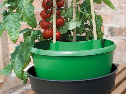 Plant Halos – Set of 3 – Watering & Feeding Support Rings | Garland | Plant Support | G167G 5031670003133 | AllotMate Essentials