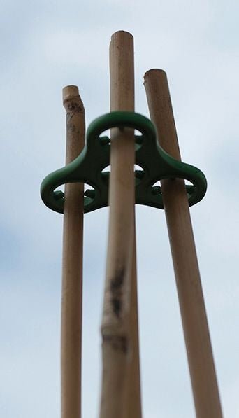 Plant Halos – Set of 3 – Watering & Feeding Support Rings | Garland | Plant Support | G167G 5031670003133 | AllotMate Essentials